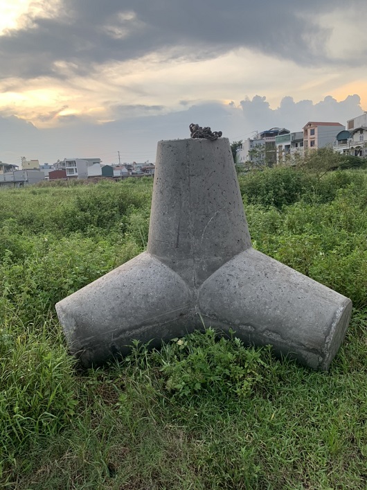 tetrapod